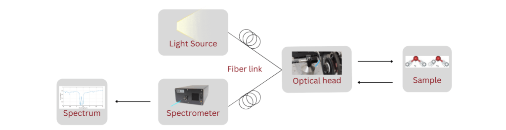 fiber coupled spectroscopic measurements